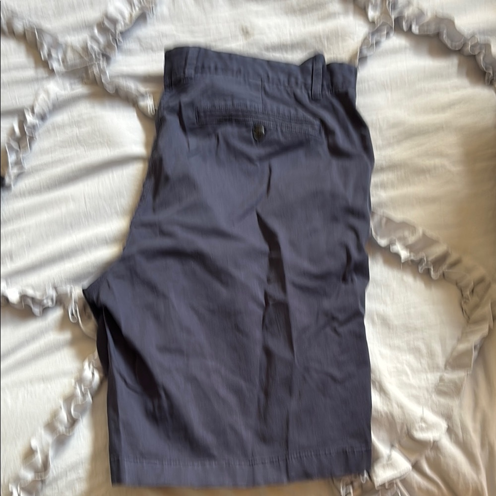 Everlane Men's Navy Shorts